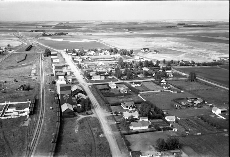 Overview of Cayley